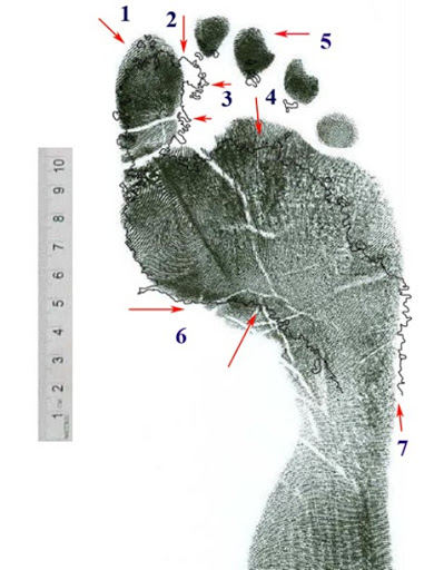evidence4footprint